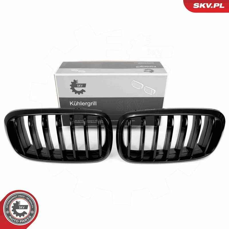 Grelha do radiador ESEN SKV 66SKV294