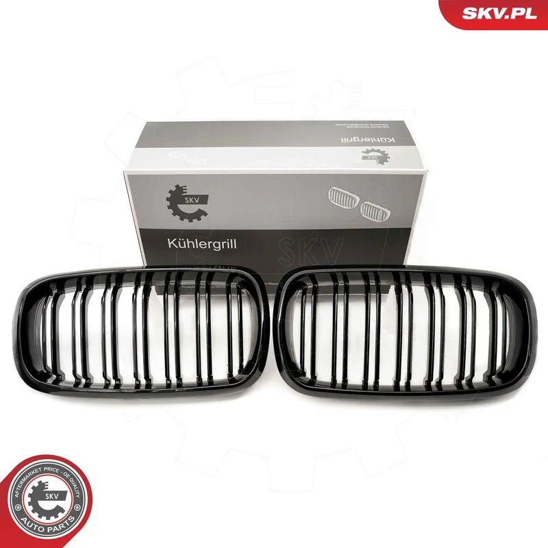 Radiator Grille ESEN SKV 66SKV296