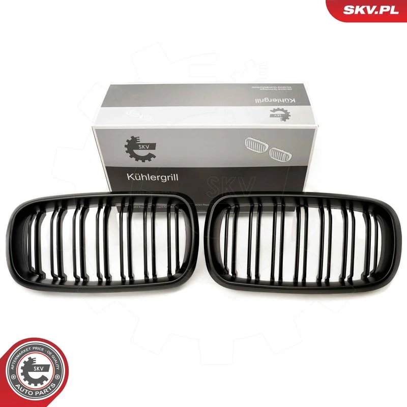 Grelha do radiador ESEN SKV 66SKV297