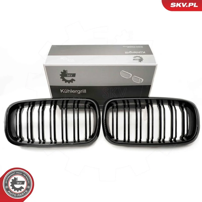 Grelha do radiador ESEN SKV 66SKV299