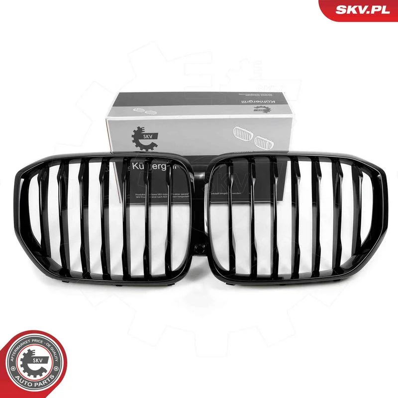 Grelha do radiador ESEN SKV 66SKV300