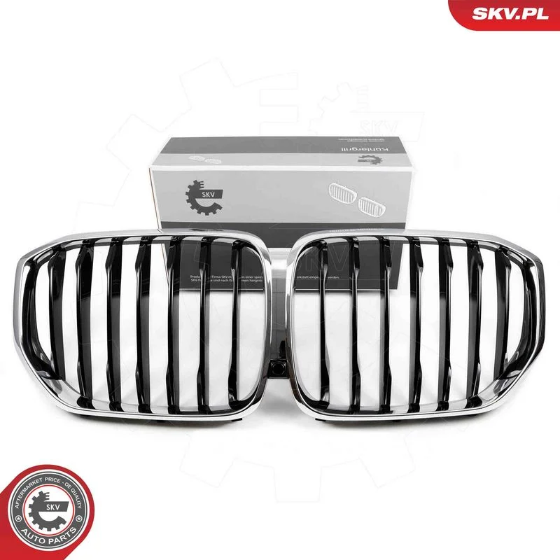 Grelha do radiador ESEN SKV 66SKV302