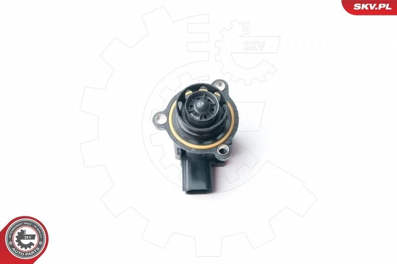 Válvula de Recirculação de Ar, carregador ESEN SKV 95SKV402