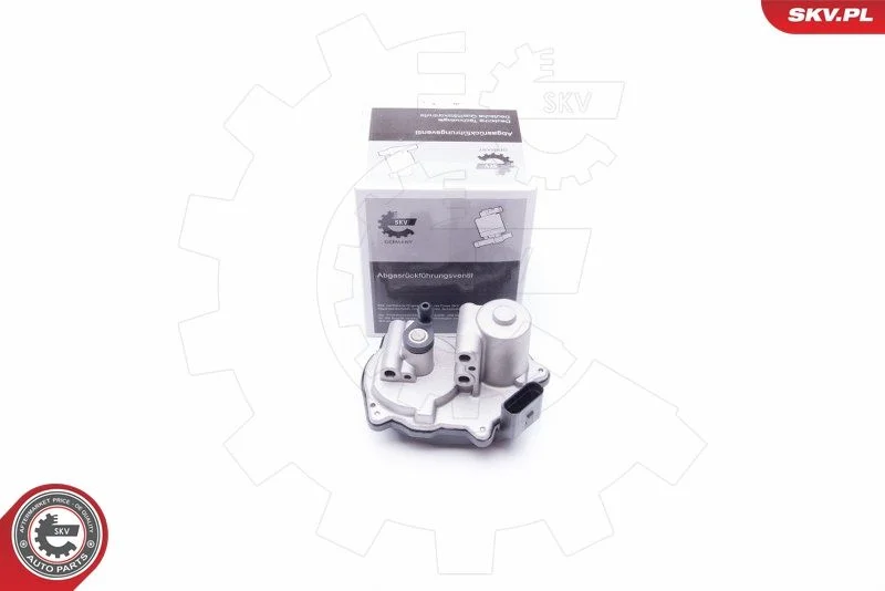 Control, swirl flaps (induction pipe) ESEN SKV 96SKV016