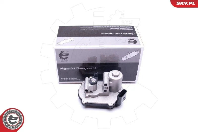 Control, swirl flaps (induction pipe) ESEN SKV 96SKV041