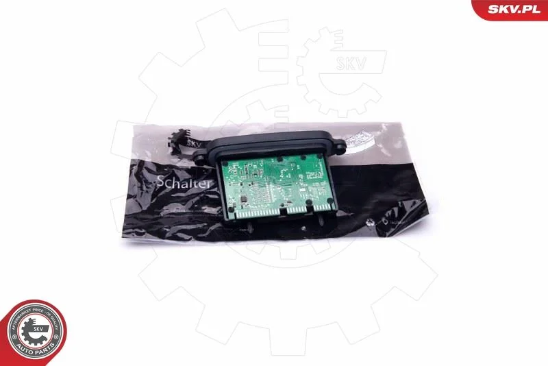Control Unit, lights ESEN SKV 96SKV071