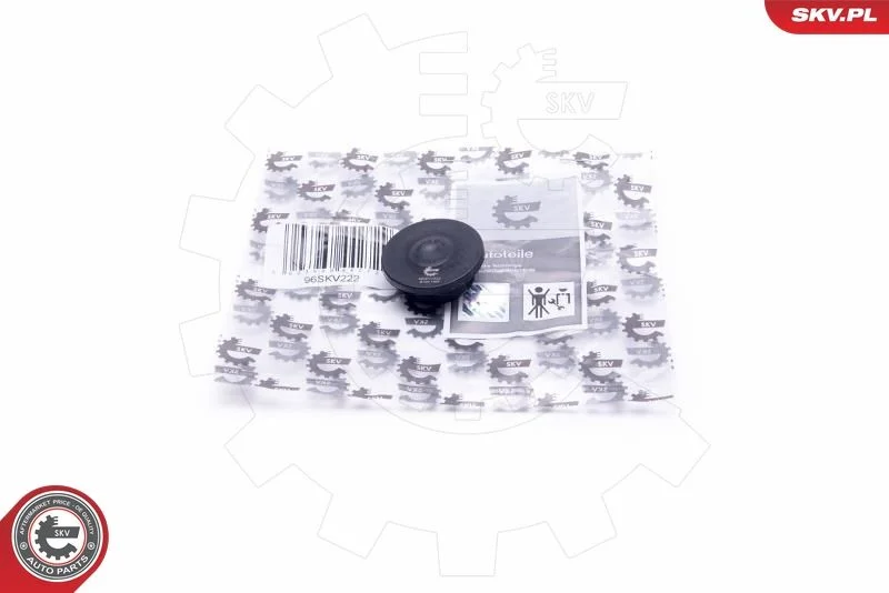 Kit de Reparo, ventilação do cárter ESEN SKV 96SKV222