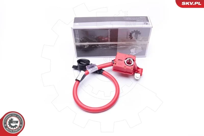 Adaptador de Bateria ESEN SKV 96SKV301