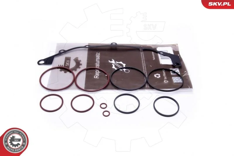 Repair Kit, intake manifold module ESEN SKV 96SKV400