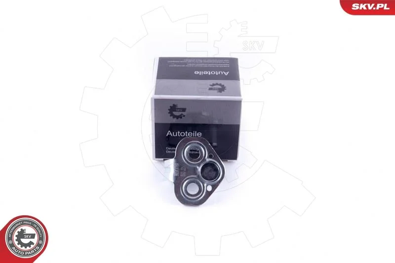 Verificação da porta ESEN SKV 96SKV769