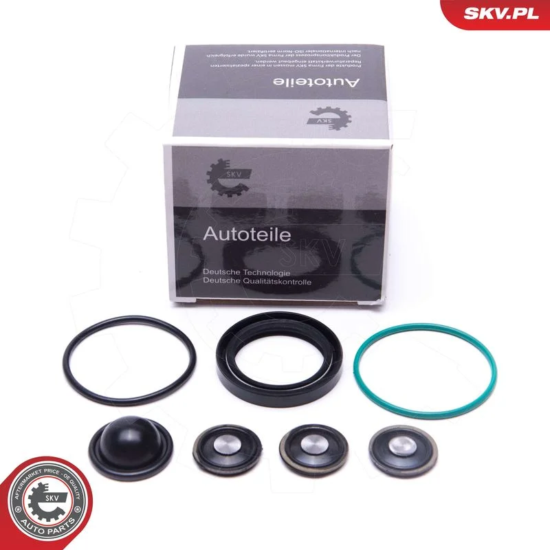 Conjunto de reparação, bomba de combustível ESEN SKV 96SKV933