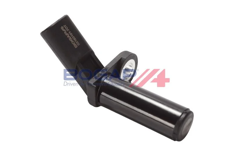 4113 BOGAP B2163101