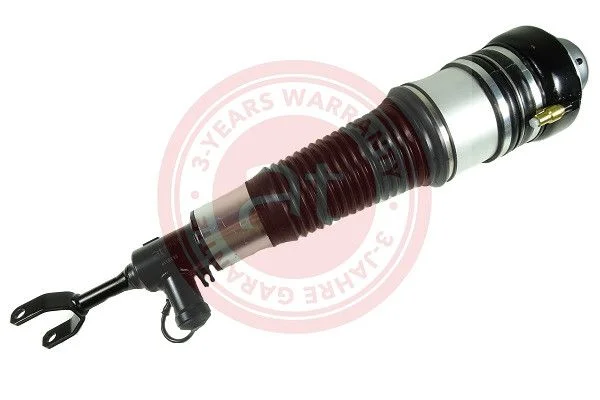 Air Suspension Strut at autoteile germany at10498