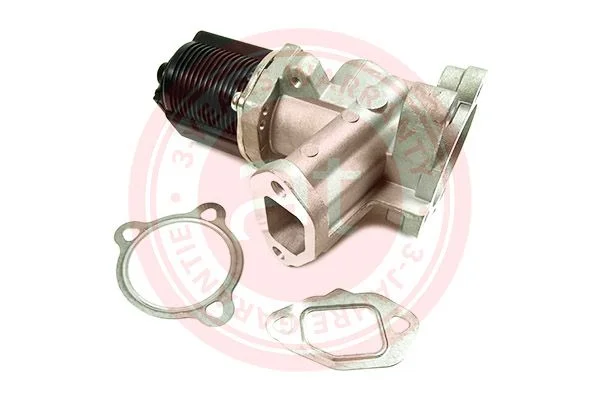 EGR Valve at autoteile germany at20998