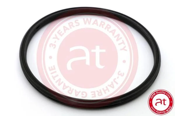 Seal Ring, charge air hose at autoteile germany at23806