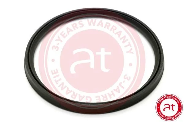 Seal Ring, charge air hose at autoteile germany at23810