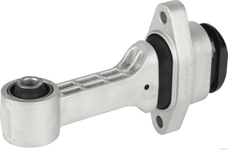 Variklio montavimas HERTH+BUSS JAKOPARTS J1790306