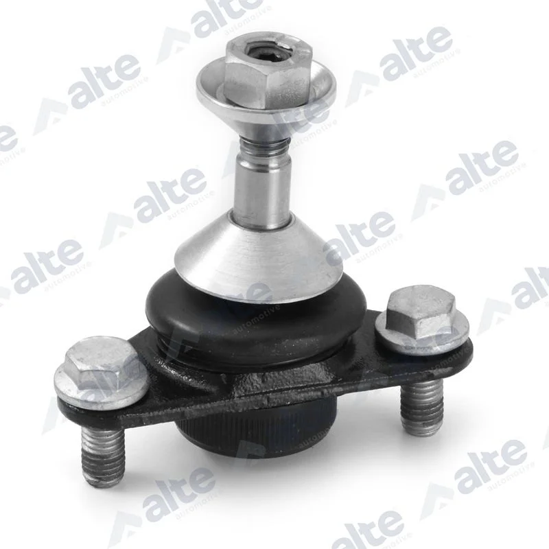 Šarnyras / girgždukas ALTE AUTOMOTIVE 79554AL