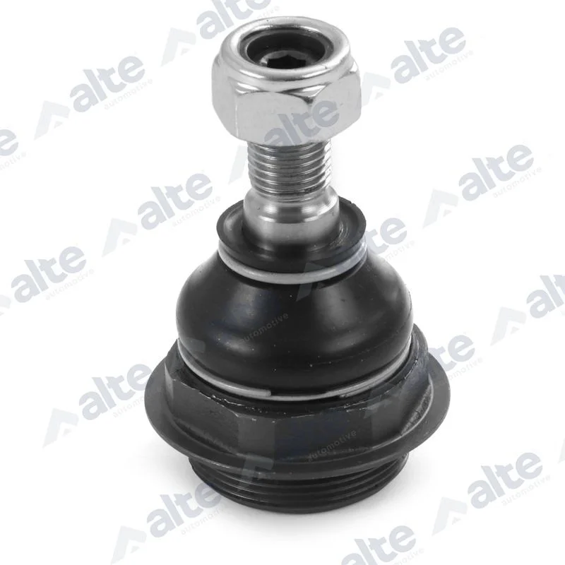 Šarnyras / girgždukas ALTE AUTOMOTIVE 79617AL