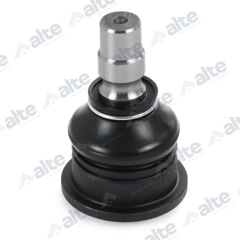 Šarnyras / girgždukas ALTE AUTOMOTIVE 91542AL