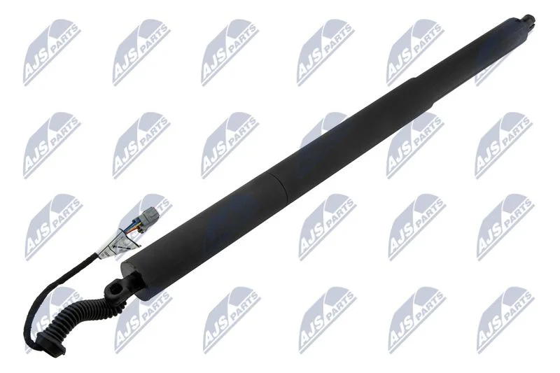 Electric Motor, tailgate NTY AE-CH-052
