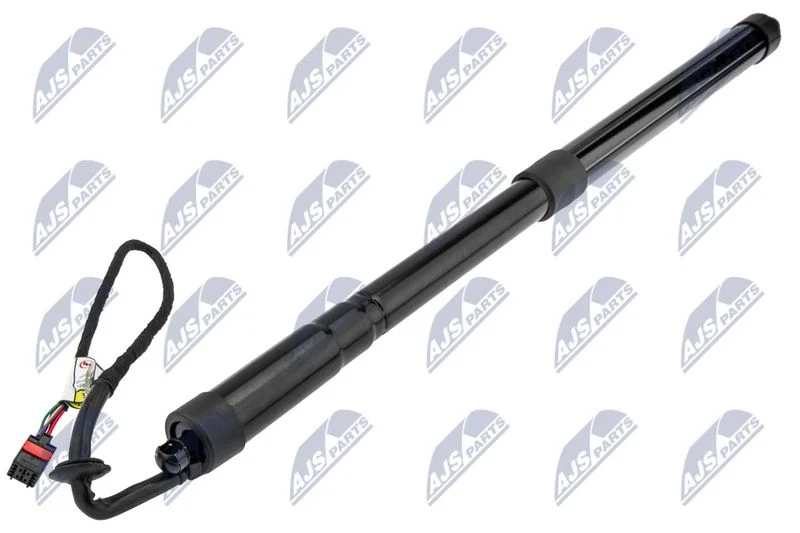Motor Elétrico, porta traseira NTY AE-LR-017