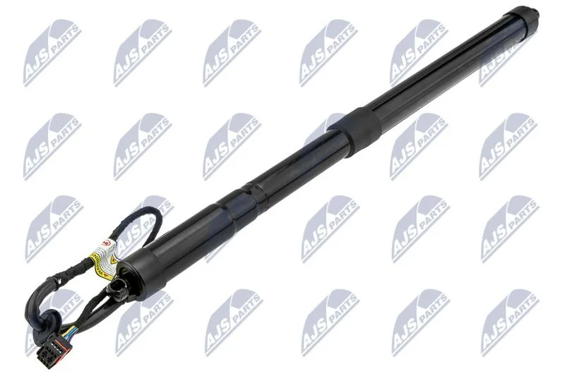 Motor Elétrico, porta traseira NTY AE-LR-019
