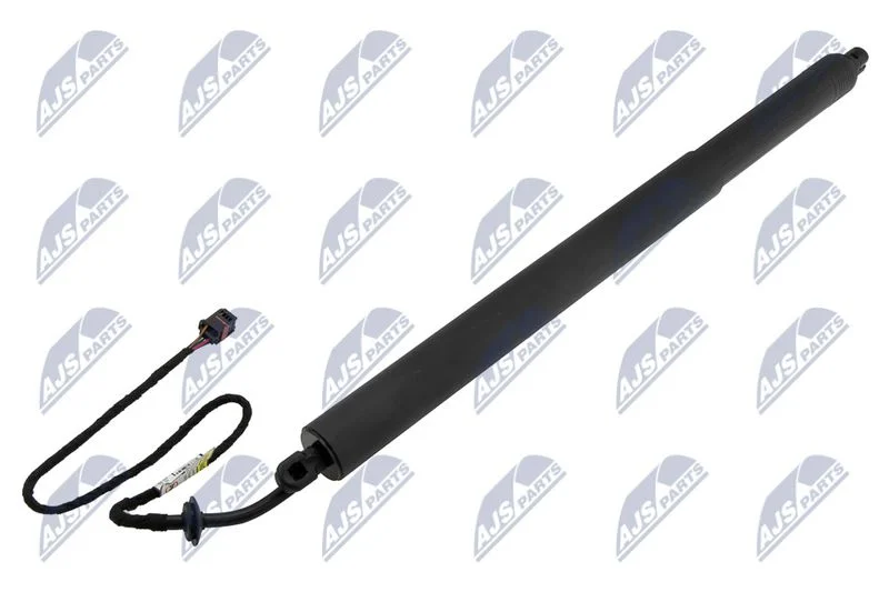 Motor Elétrico, porta traseira NTY AE-LR-022