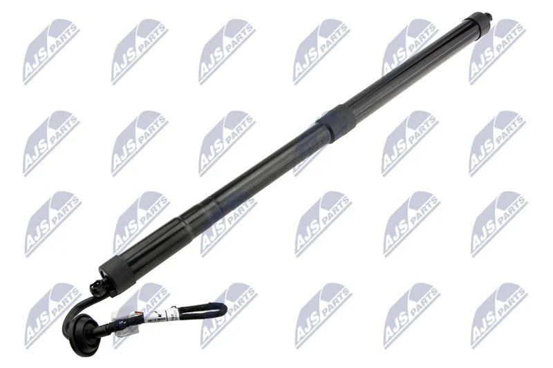 Motor Elétrico, porta traseira NTY AE-NS-025