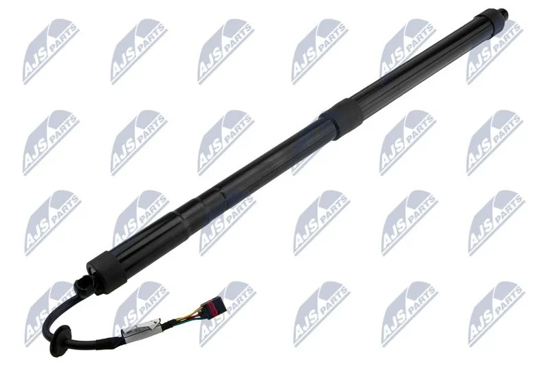 Motor Elétrico, porta traseira NTY AE-NS-029