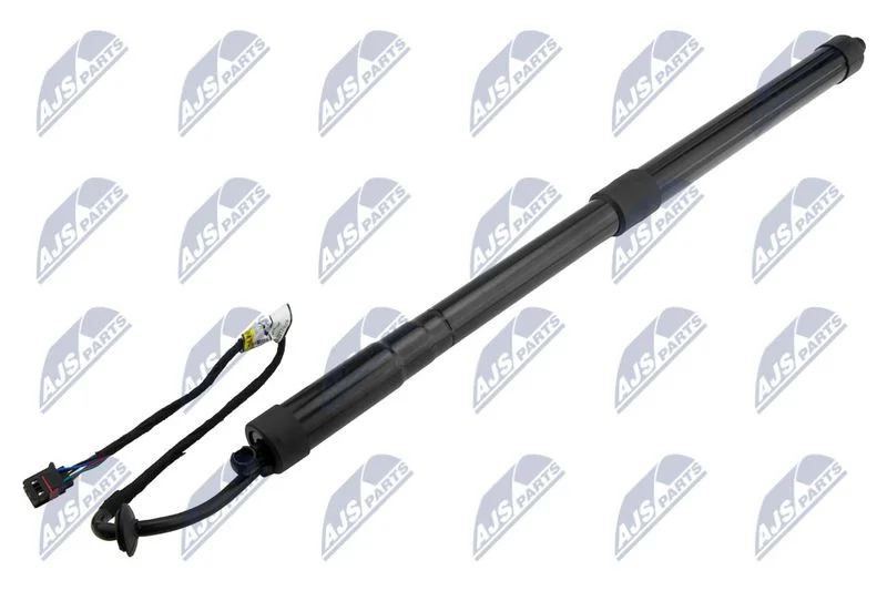 Motor Elétrico, porta traseira NTY AE-NS-031
