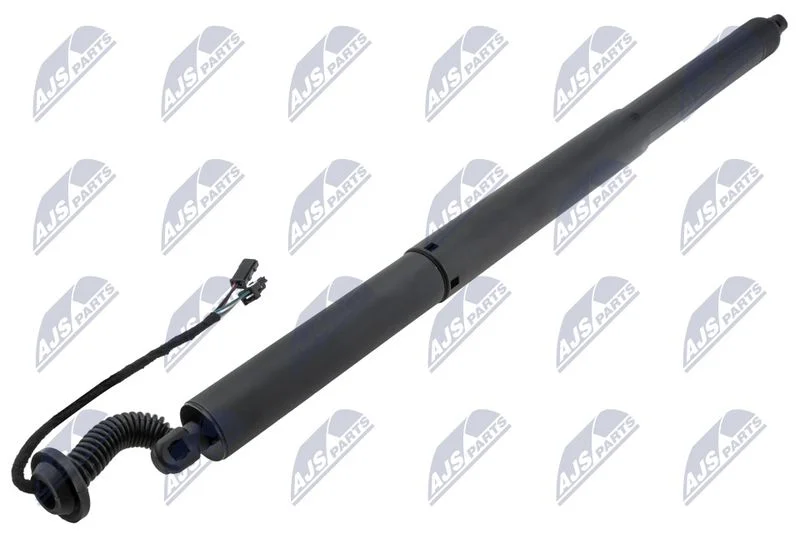 Motor Elétrico, porta traseira NTY AE-PL-068