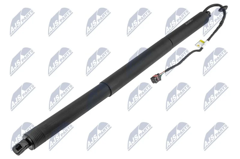 Electric Motor, tailgate NTY AE-PS-003