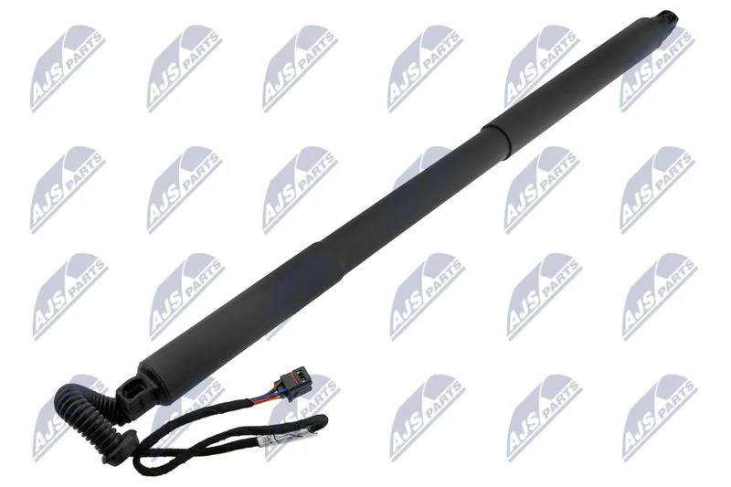 Electric Motor, tailgate NTY AE-PS-005