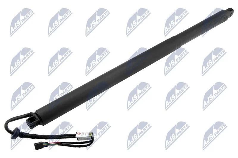 Electric Motor, tailgate NTY AE-SK-030