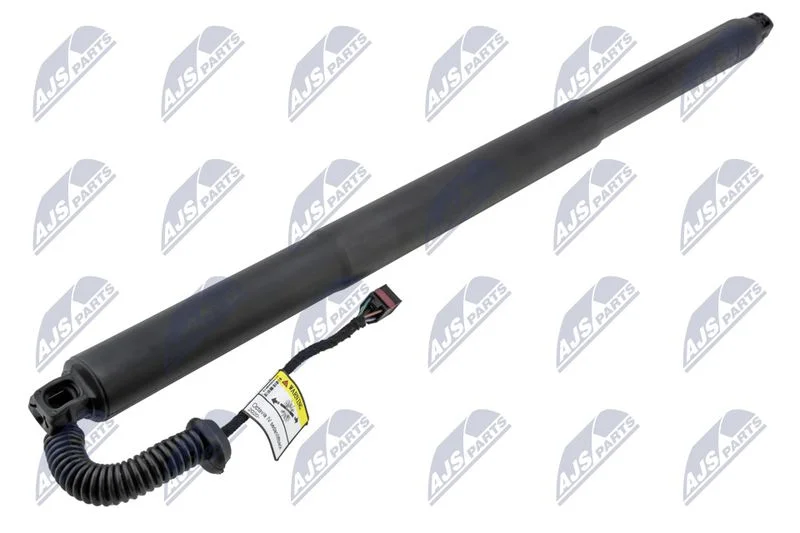 Electric Motor, tailgate NTY AE-SK-032