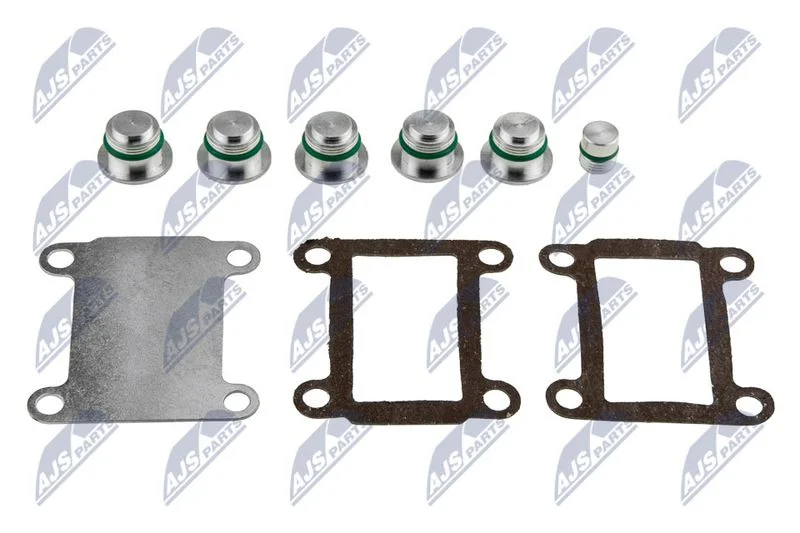 Intake Manifold Module NTY BKS-FT-005A