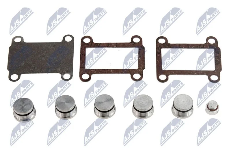 Repair Kit, intake manifold module NTY BKS-FT-007