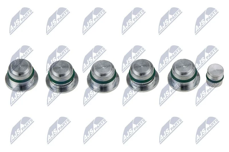 Intake Manifold Module NTY BKS-FT-009