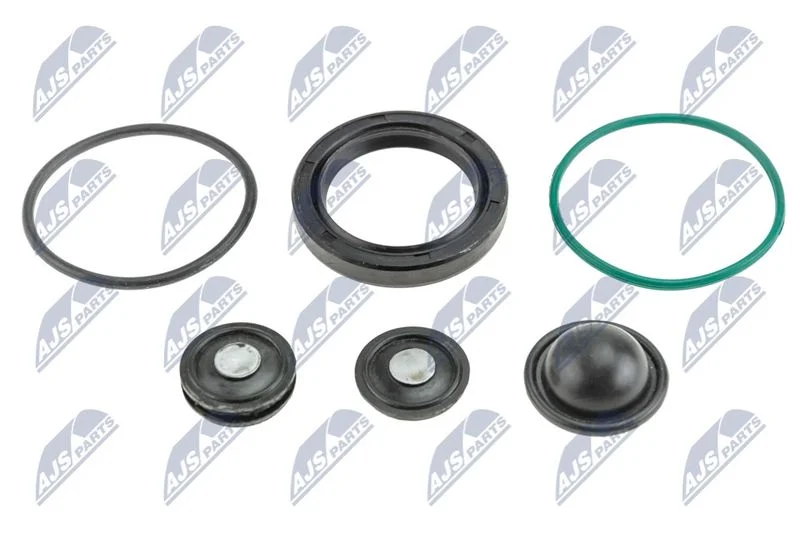 Conjunto de reparação, bomba de combustível NTY BWP-PL-004