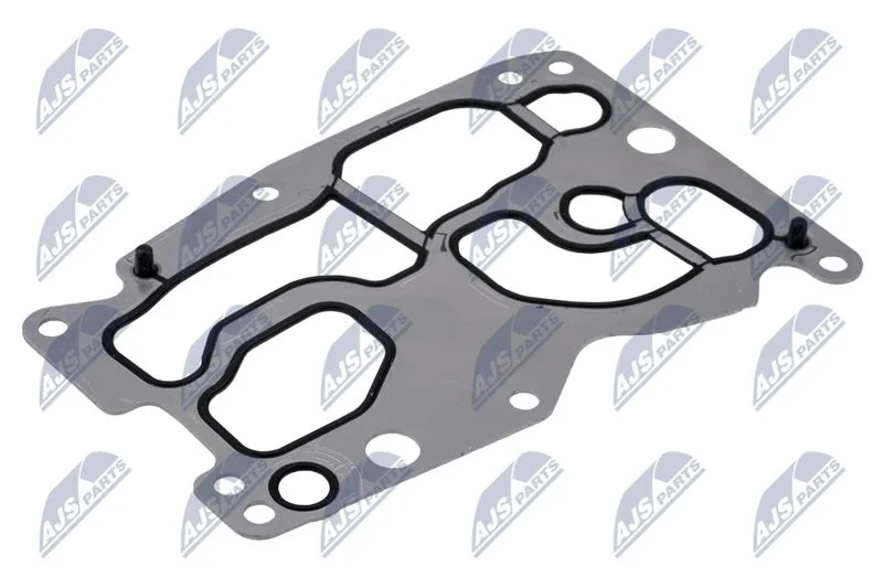 Gasket, oil cooler NTY CCL-BM-082