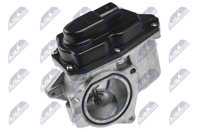 Válvula EGR NTY EGR-AU-002