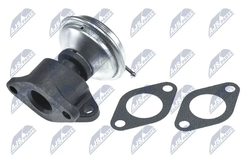 EGR Valve NTY EGR-AU-016