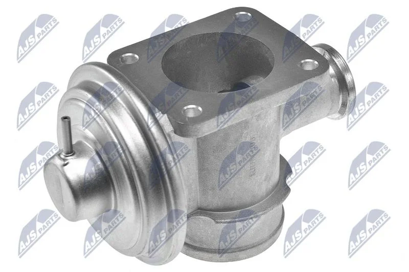 EGR Valve NTY EGR-BM-006