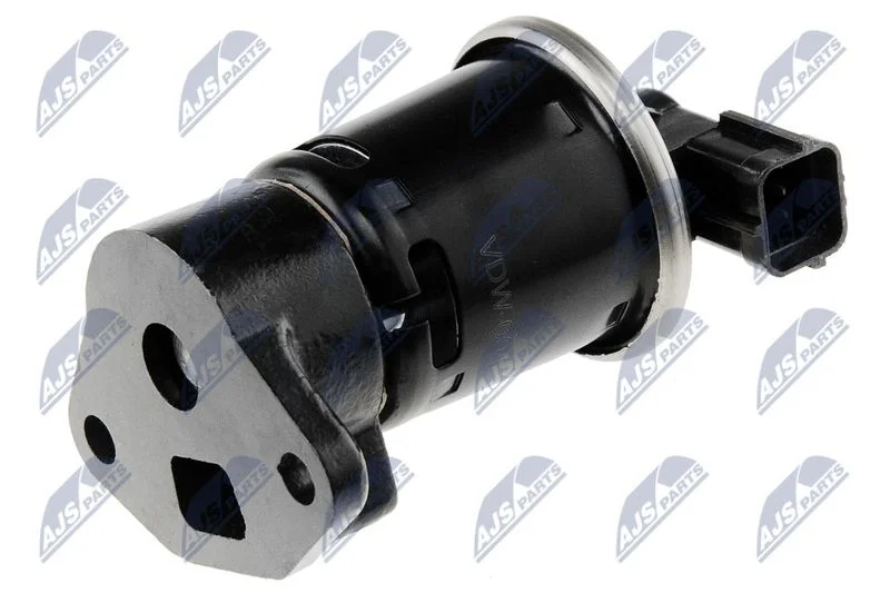 EGR Valve NTY EGR-DW-001