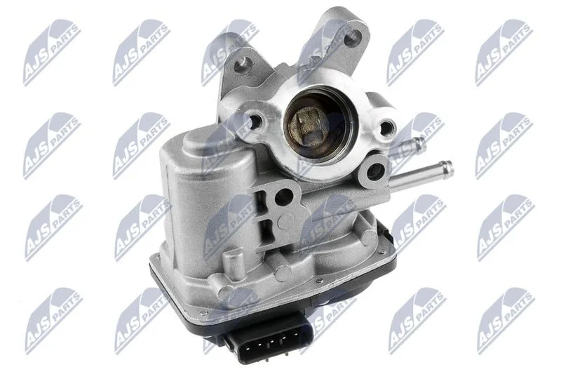Válvula EGR NTY EGR-NS-000