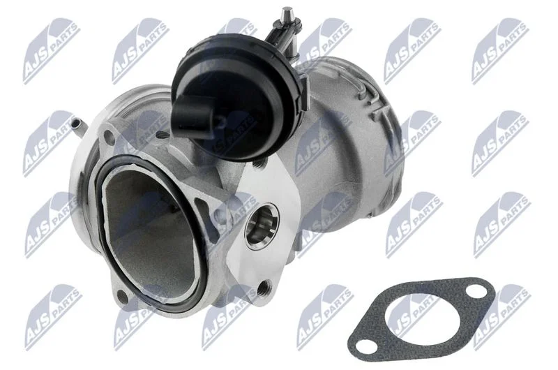 EGR Valve NTY EGR-SE-000