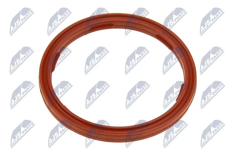Seal Ring, engine oil level sensor NTY EPO-BM-010