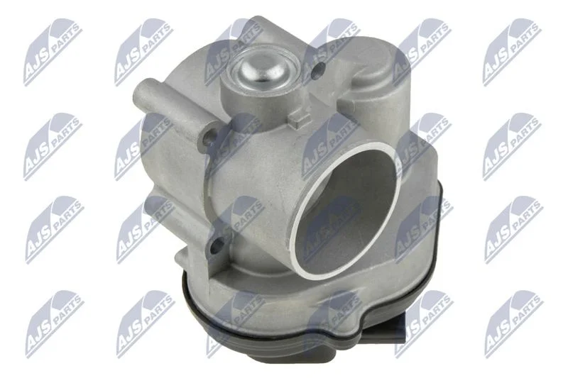 Throttle Body NTY ETB-FR-001