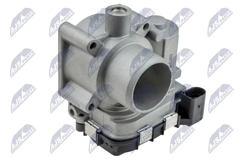 Throttle Body NTY ETB-FT-003